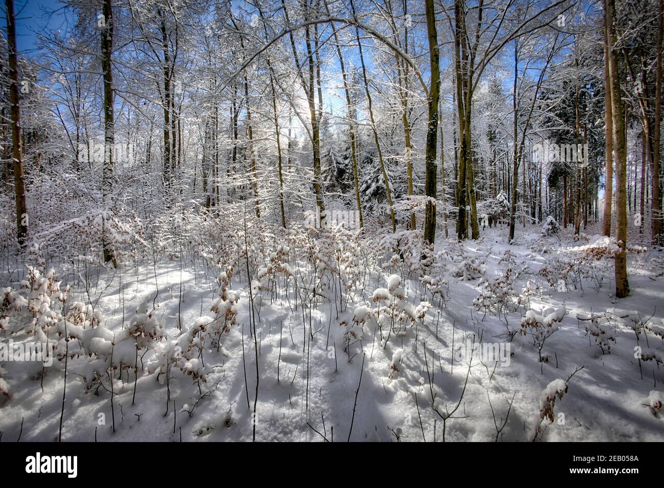DE - BAVIÈRE: Scène d'hiver près de Bad Toelz (HDR-Photography) Banque D'Images
