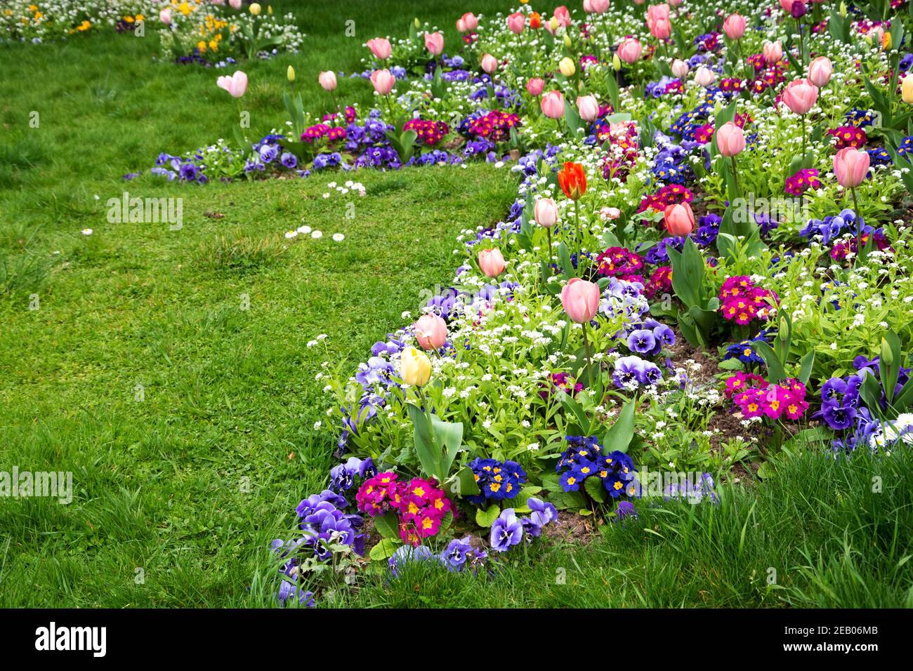 Jardin de printemps. Jardin français au printemps. Parterre de fleurs colorées dans le parc avec des fleurs de tulipe, de bellis, de pansy, de pâquerette, de alto; pelouse verte vive Banque D'Images