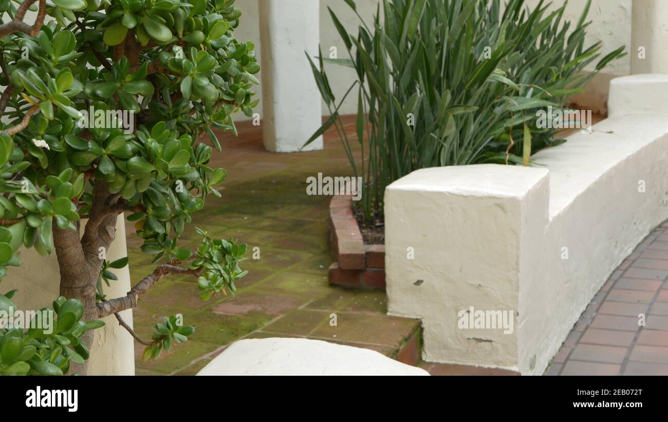 Bâtiment rustique méditerranéen, rue latérale vide. Jardin vert avec verdure naturelle dans la banlieue de style colonial espagnol. Plantes succulentes Evergreen près Banque D'Images