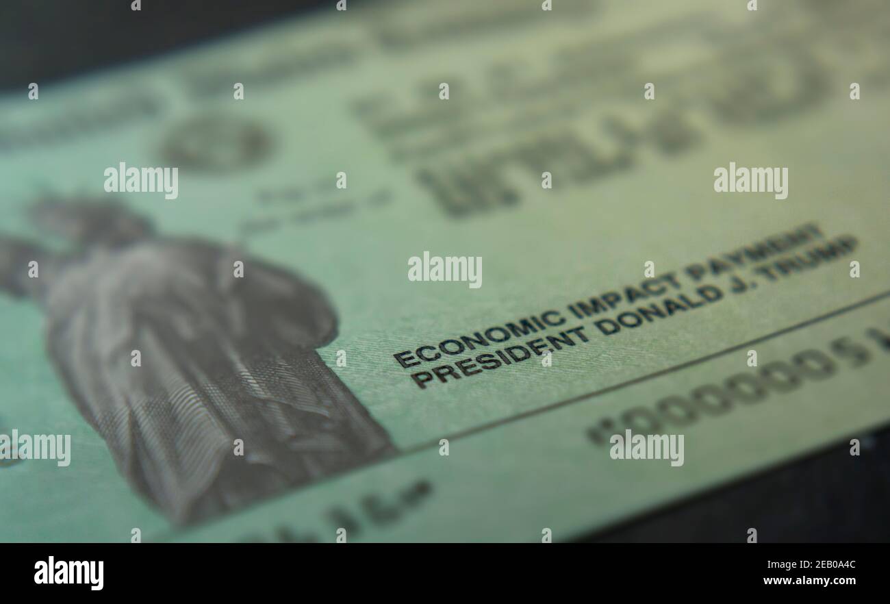 Un coup de fouet économique portant le nom du président de l'époque Donald Trump à New York le mardi 19 janvier 2021. (© Richard B. Levine) Banque D'Images