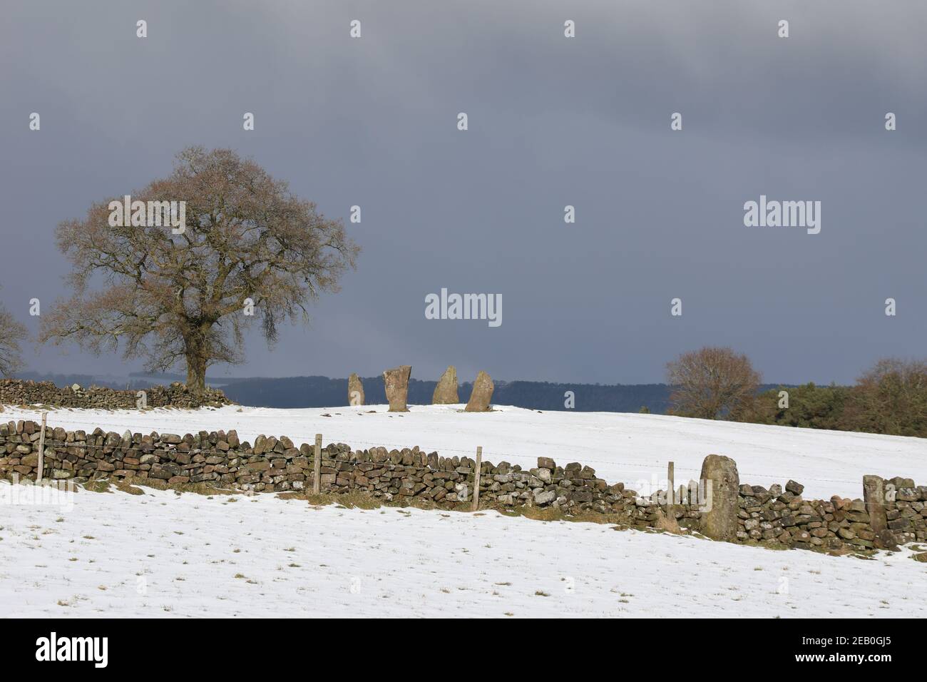 Neuf pierres Fermer cercle de pierre à Harthill Moor dans le Derbyshire Peak District Banque D'Images