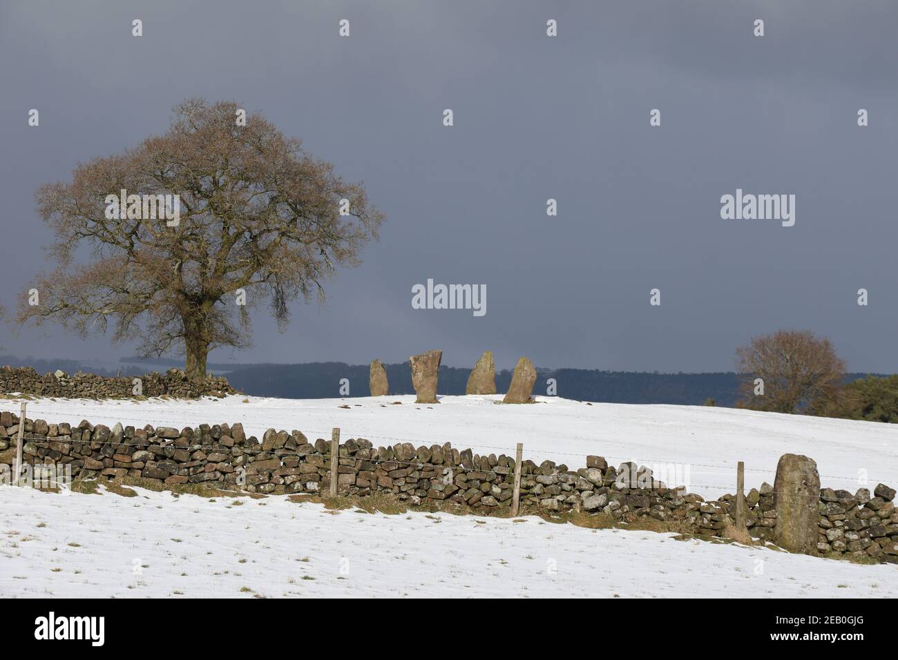 Neuf pierres Fermez des pierres sur pied à Harthill Moor dans le Derbyshire Peak District Banque D'Images