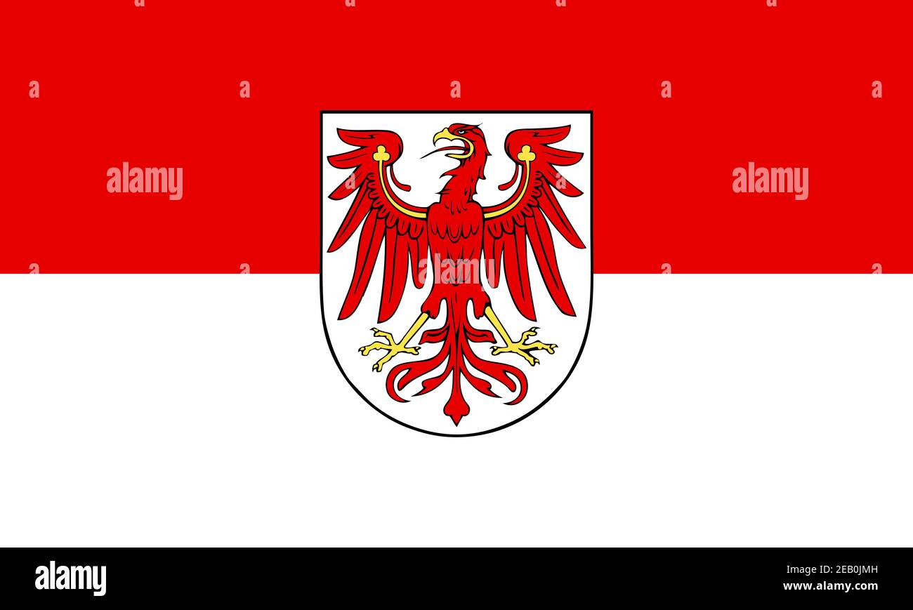 Grand drapeau plat officiel de Brandebourg horizontal Banque D'Images