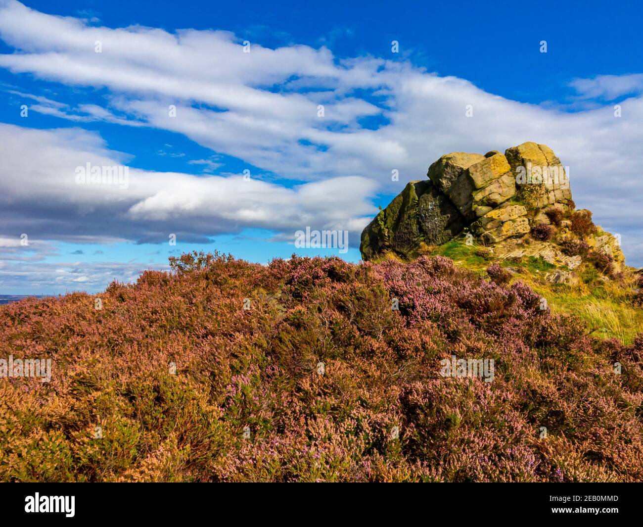 Ashover Rock ou Fabrick un rocher de pierre à aiguiser et point de vue près d'Ashover dans le Peak District Derbyshire Angleterre Royaume-Uni avec la bruyère en premier plan. Banque D'Images