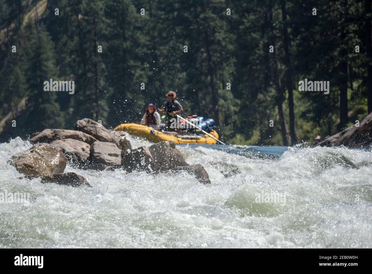 Faites du rafting sur le rebord de Black Creek Rapid sur la rivière main Salmon de l'Idaho. Banque D'Images