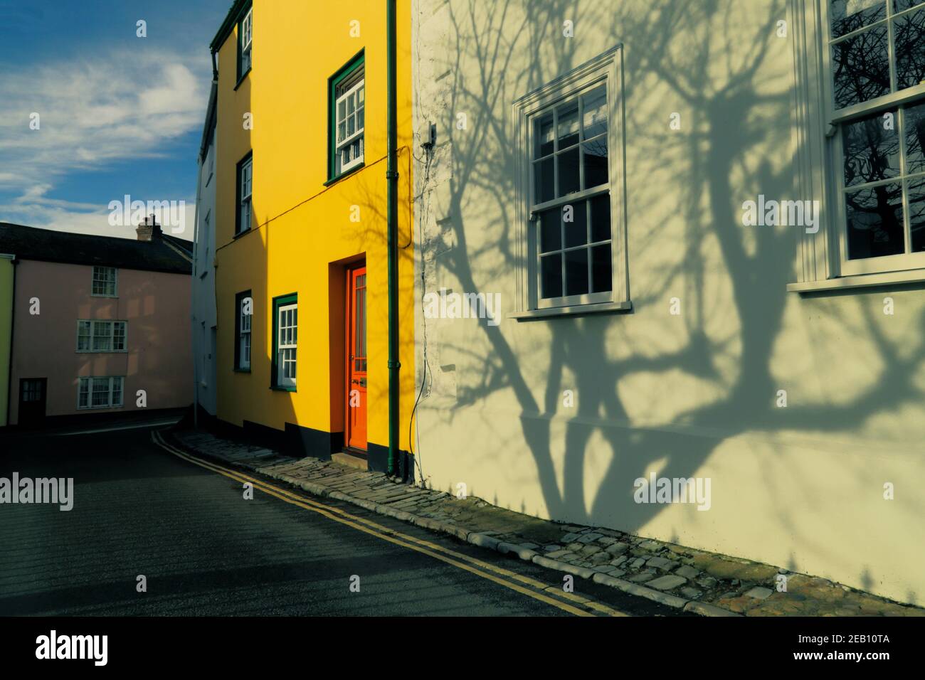 Ombre d'arbre sur le mur à Lyme Regis, Royaume-Uni Banque D'Images