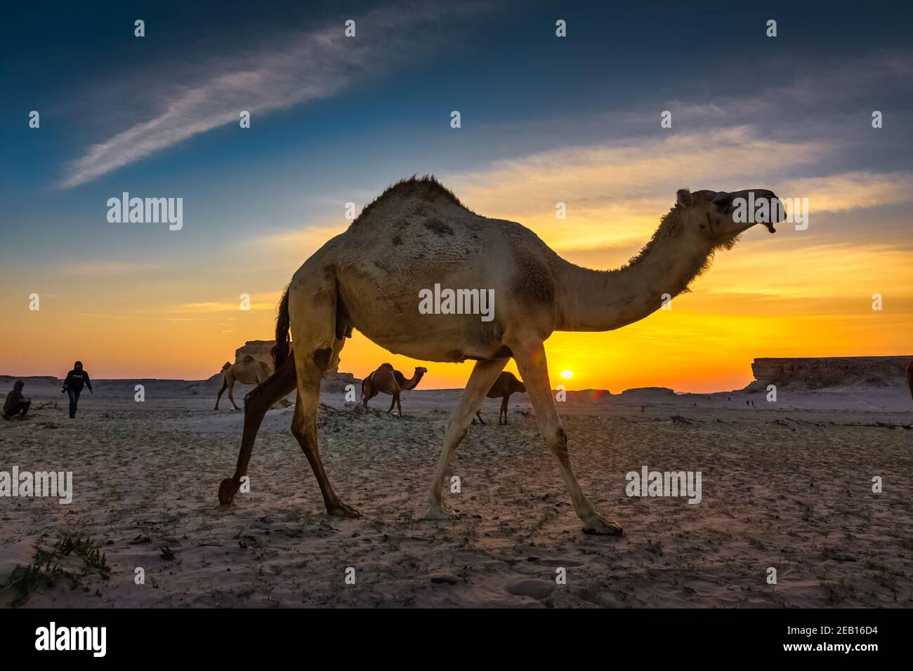 Magnifique coucher de soleil sur le désert près d'Al Salar Arabie Saoudite. Banque D'Images