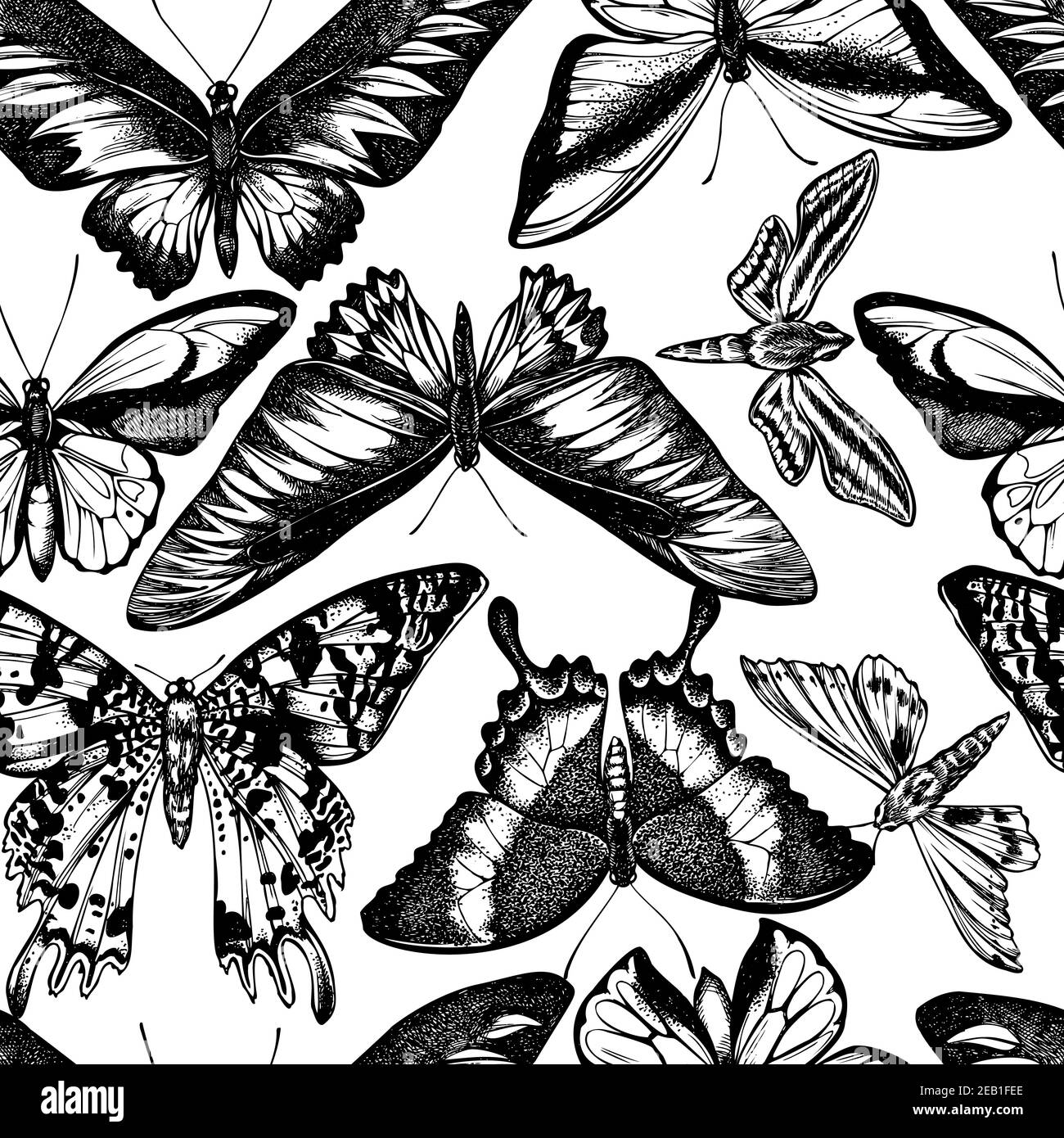 Motif sans couture avec l'aile dorée noire et blanche de wallace, le papillon des ambulances, le chasseur à bandes blanches, le papillon des couchers de soleil malgache, l'émeraude Illustration de Vecteur