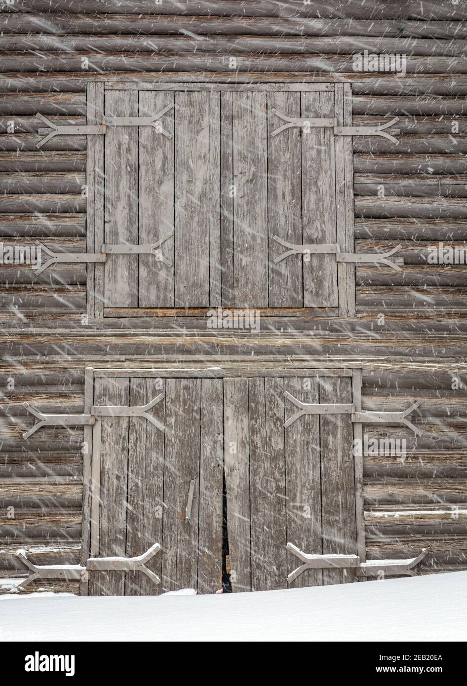 Parc national de Yellowstone, Wyoming : neige qui souffle sur les portes de la grange du ranch Lamar Buffalo dans la vallée de Lamar. Banque D'Images