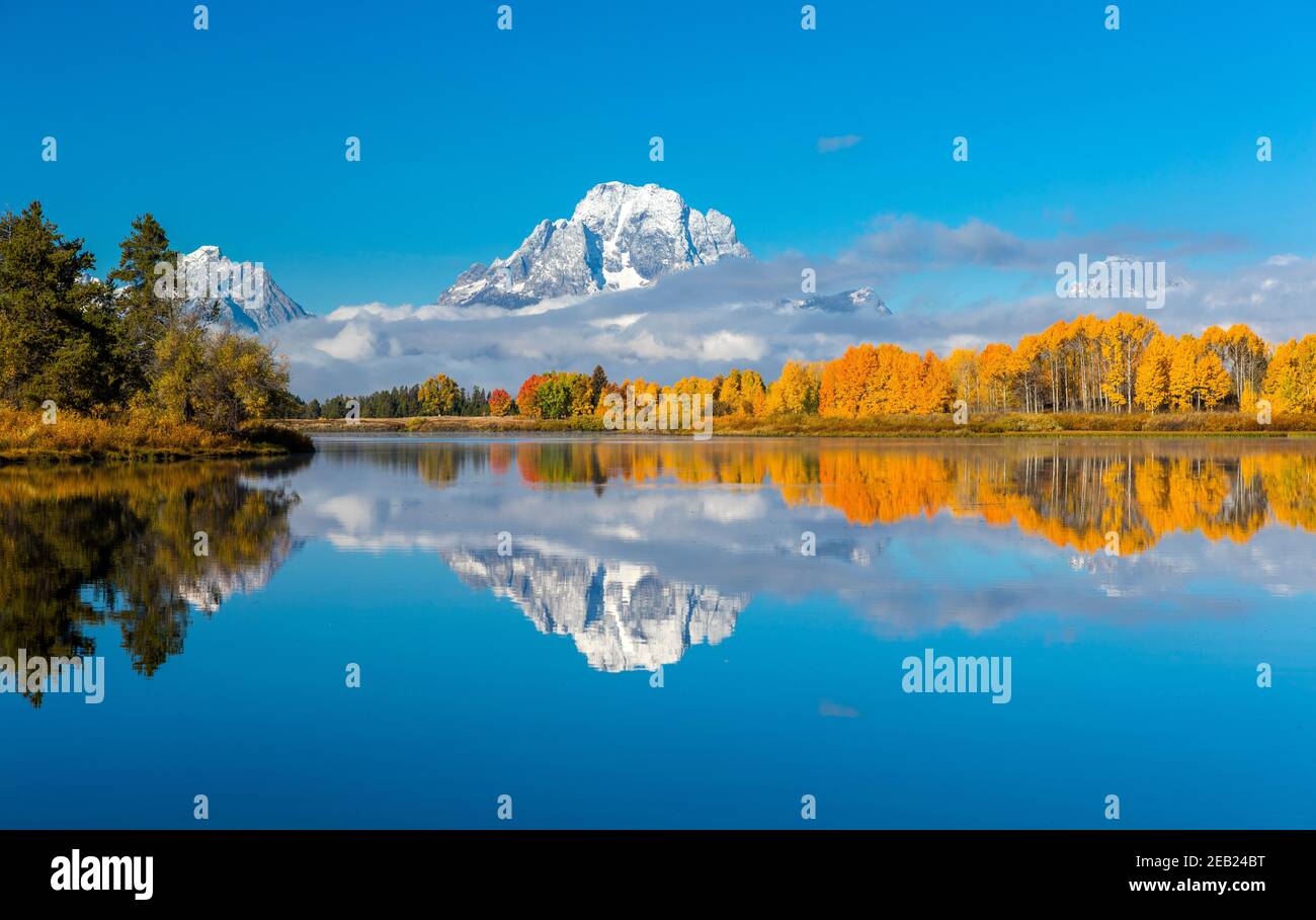 Parc national de Grand Teton, Wyoming : Mont Moran enveloppé de nuages bas reflétant les encens de couleur automnale sur l'Oxbow de la rivière Snake Banque D'Images
