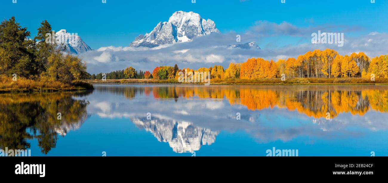 Parc national de Grand Teton, Wyoming : Mont Moran enveloppé de nuages bas reflétant les encens de couleur automnale sur l'Oxbow de la rivière Snake Banque D'Images