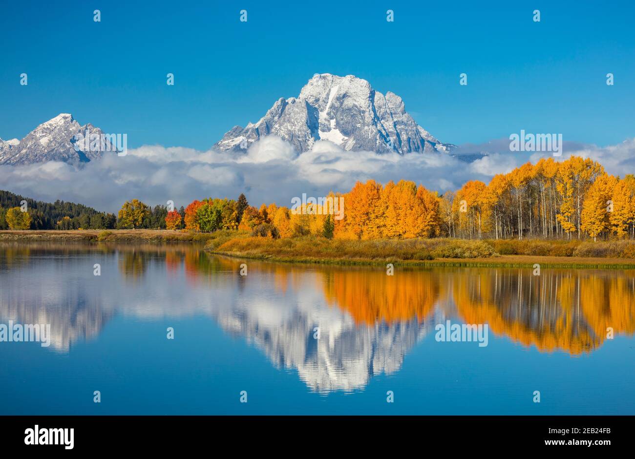 Parc national de Grand Teton, Wyoming : Mont Moran enveloppé de nuages bas reflétant les encens de couleur automnale sur l'Oxbow de la rivière Snake Banque D'Images