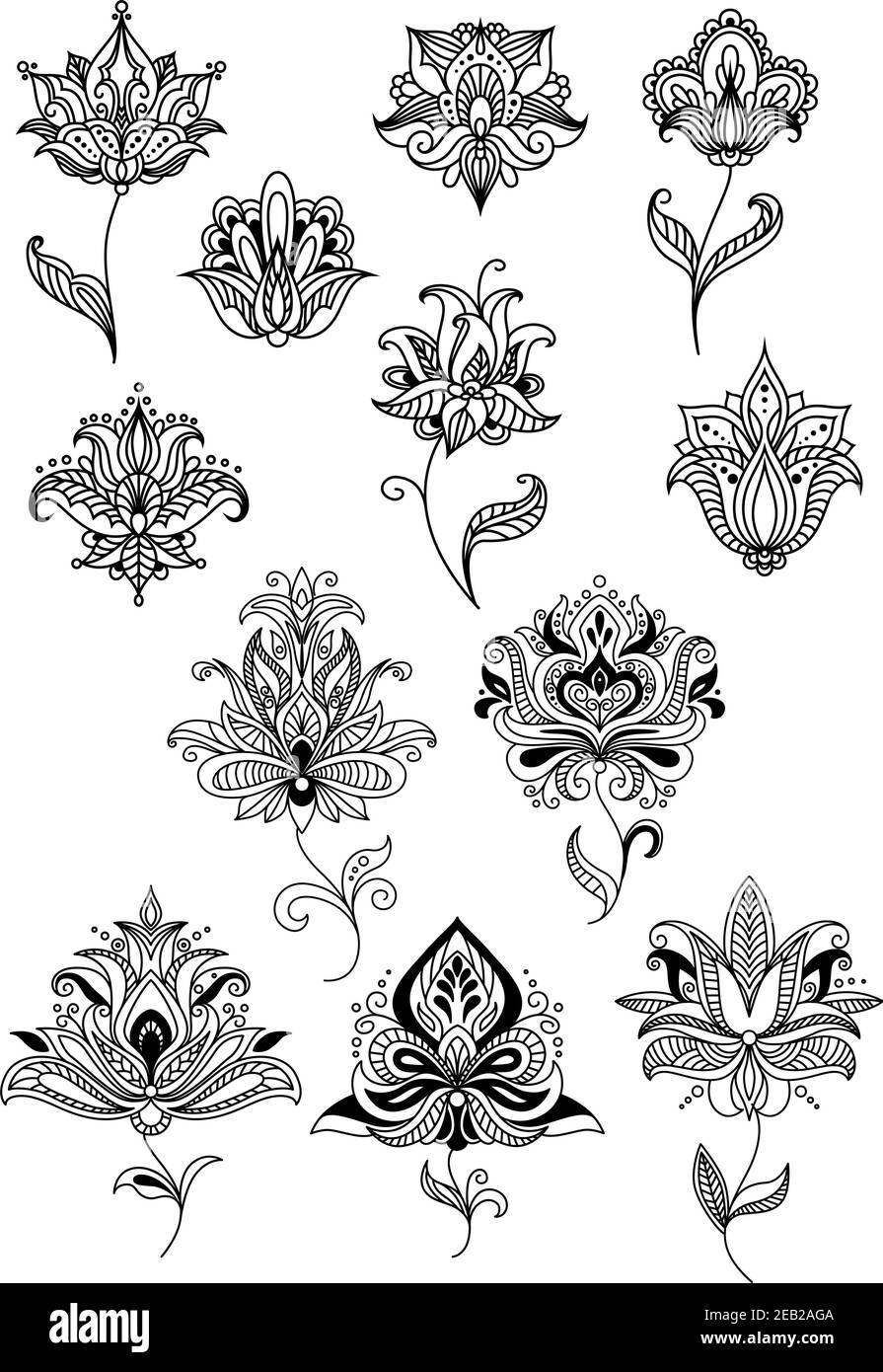 Élégantes fleurs de cachemire indien et persan stylisées par des lignes ondulées et des tourbillons, adaptées à la décoration intérieure ou textile Illustration de Vecteur