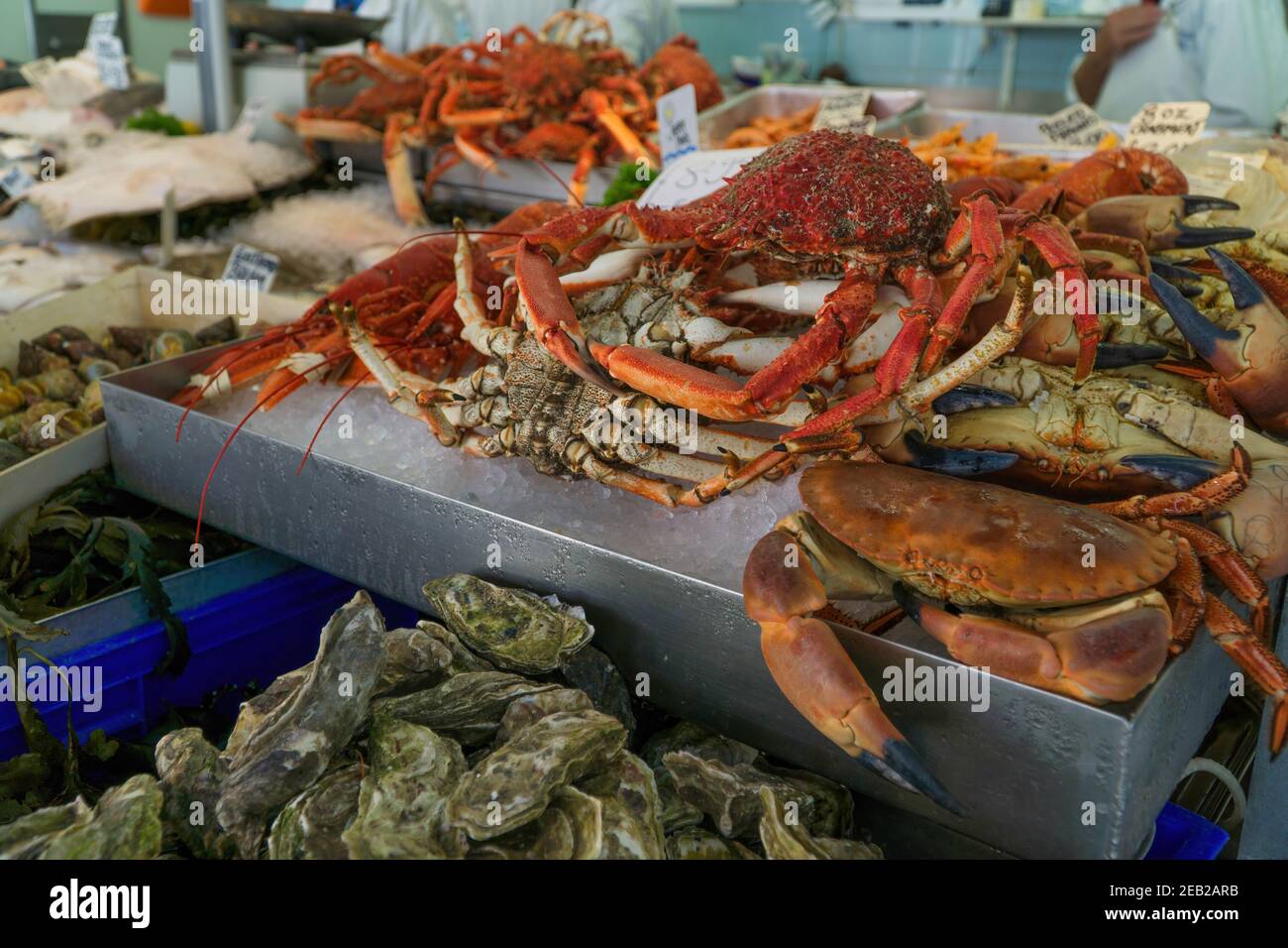 Crabes araignées, crabes comestibles, huîtres et homard en solde dans le marché aux poissons de Beresford Street, Jersey Banque D'Images