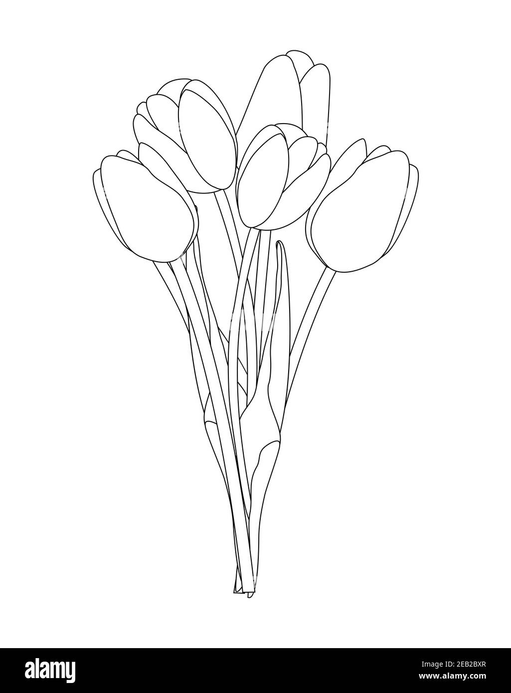 Bouquet de fleurs de printemps tulipes isolées sur fond blanc Vector Illustration EPS10 Illustration de Vecteur