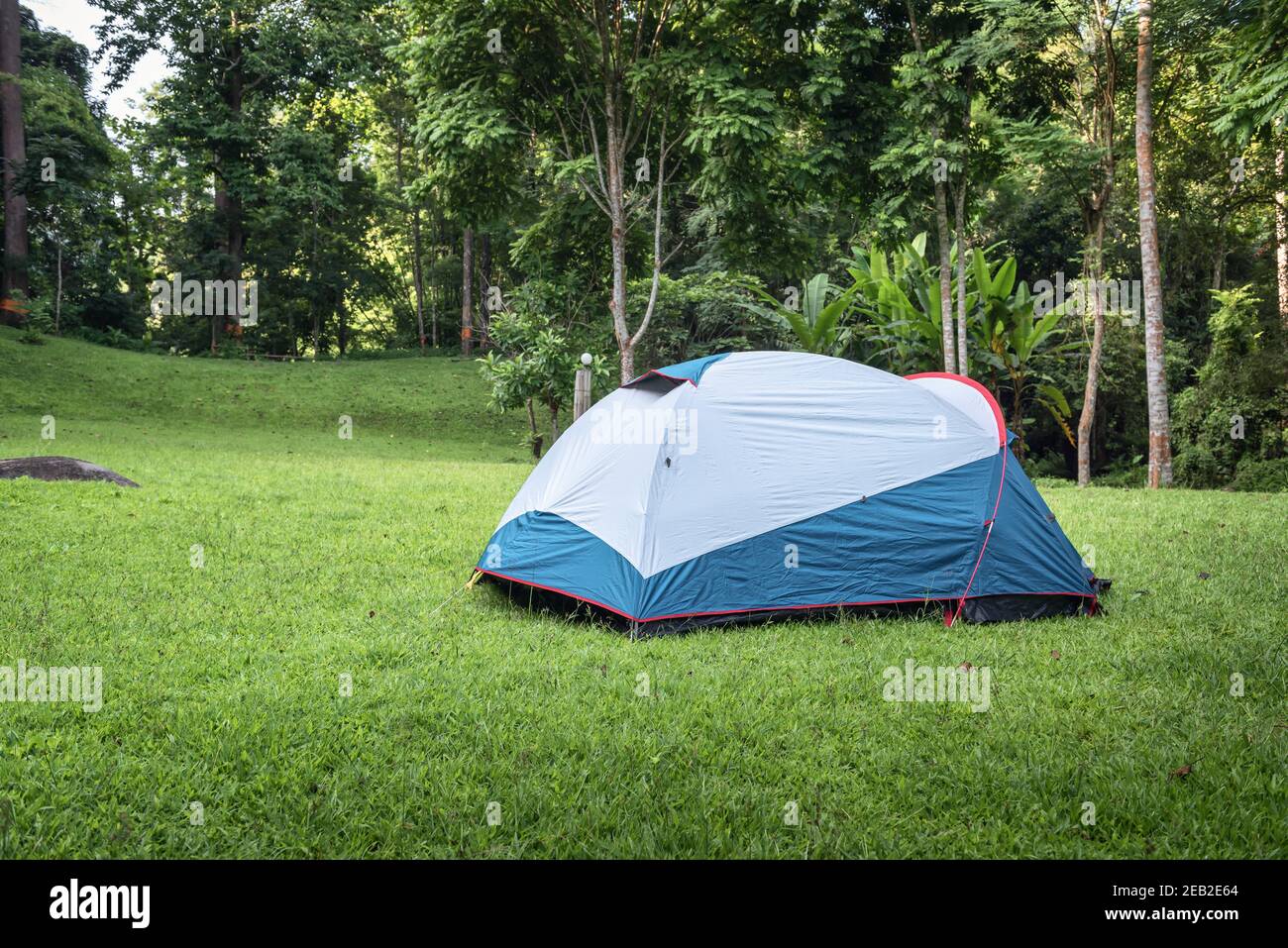 Camping terrain de camping et tente sur l'herbe verte sous les arbres Forêt  tropicale, terrain de camping pour vacances en plein air activités de  loisirs et aventure. Arrière Photo Stock - Alamy