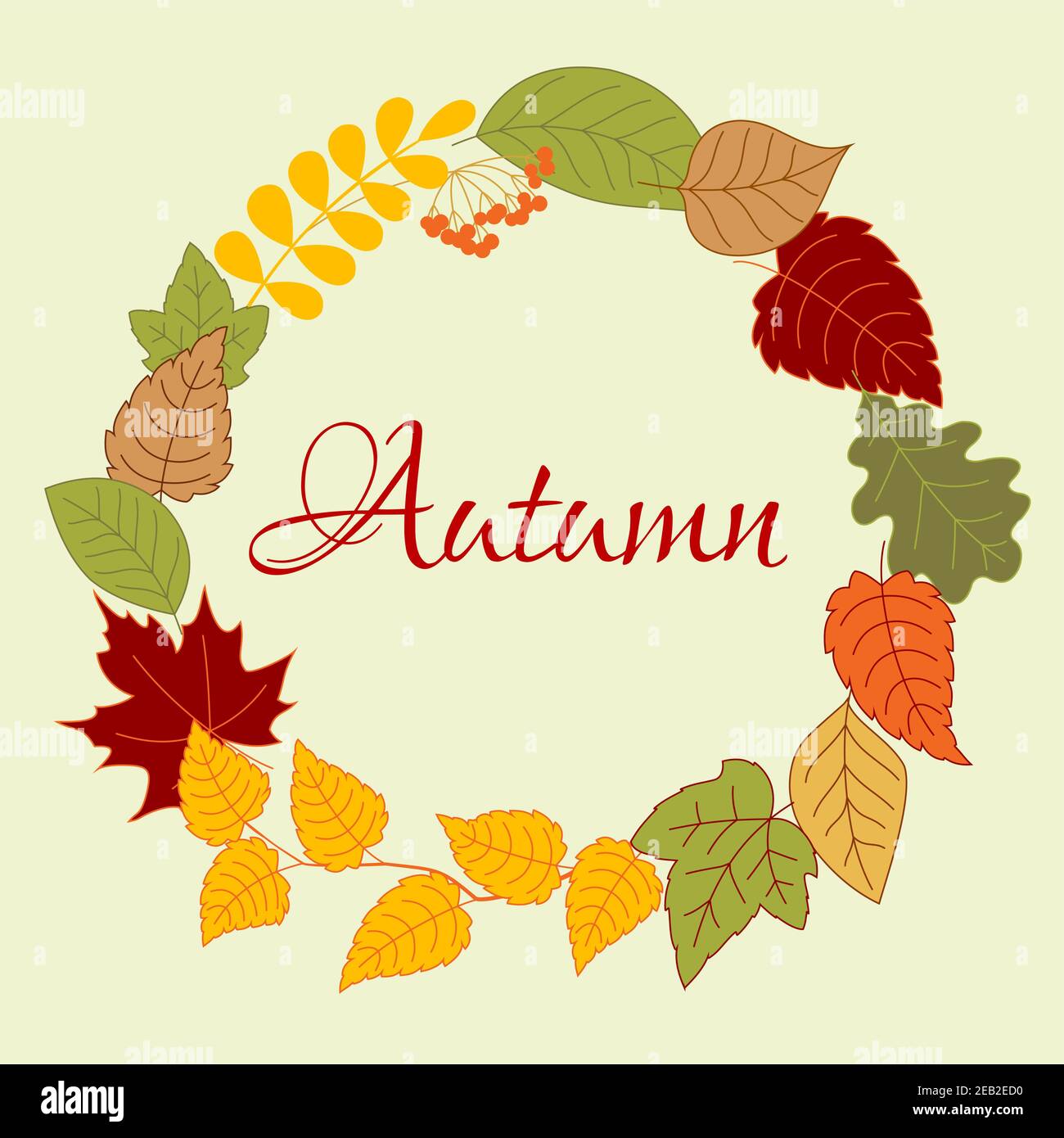 Cadre de couronne de feuilles d'automne disposés sur une bordure ronde avec des feuilles colorées, des branches de bouleau et d'acacia et un bouquet de fruits rowan Illustration de Vecteur