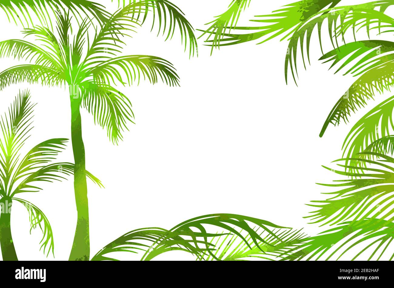 Un cadre de feuilles de palmier vertes. Bonjour été. Illustration vectorielle Illustration de Vecteur