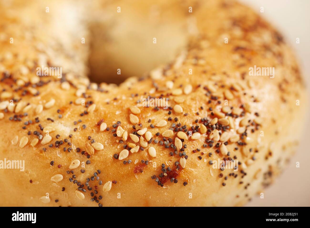 Gros plan d'un bagel tout savoir. Une cuisine traditionnelle à New York, Etats-Unis Banque D'Images