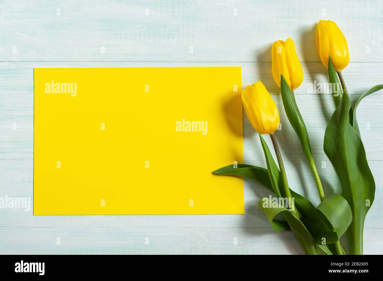 Tulipes jaunes et blanches sur fond de bois clair. Le concept de la Journée internationale de la femme, le 8 mars, 1 jour de printemps. Plat de printemps coloré et lumineux Banque D'Images