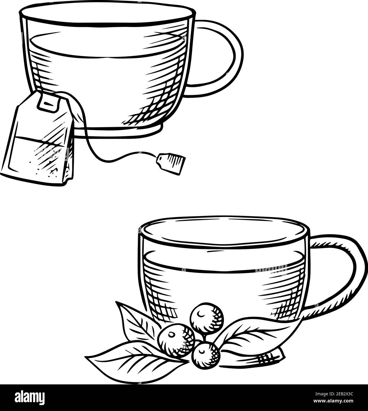 Tasses de thé chaud avec teabag et branche de baies de vache avec fruits et feuilles. Dessinez des images sur le thème de la nourriture et des boissons Illustration de Vecteur