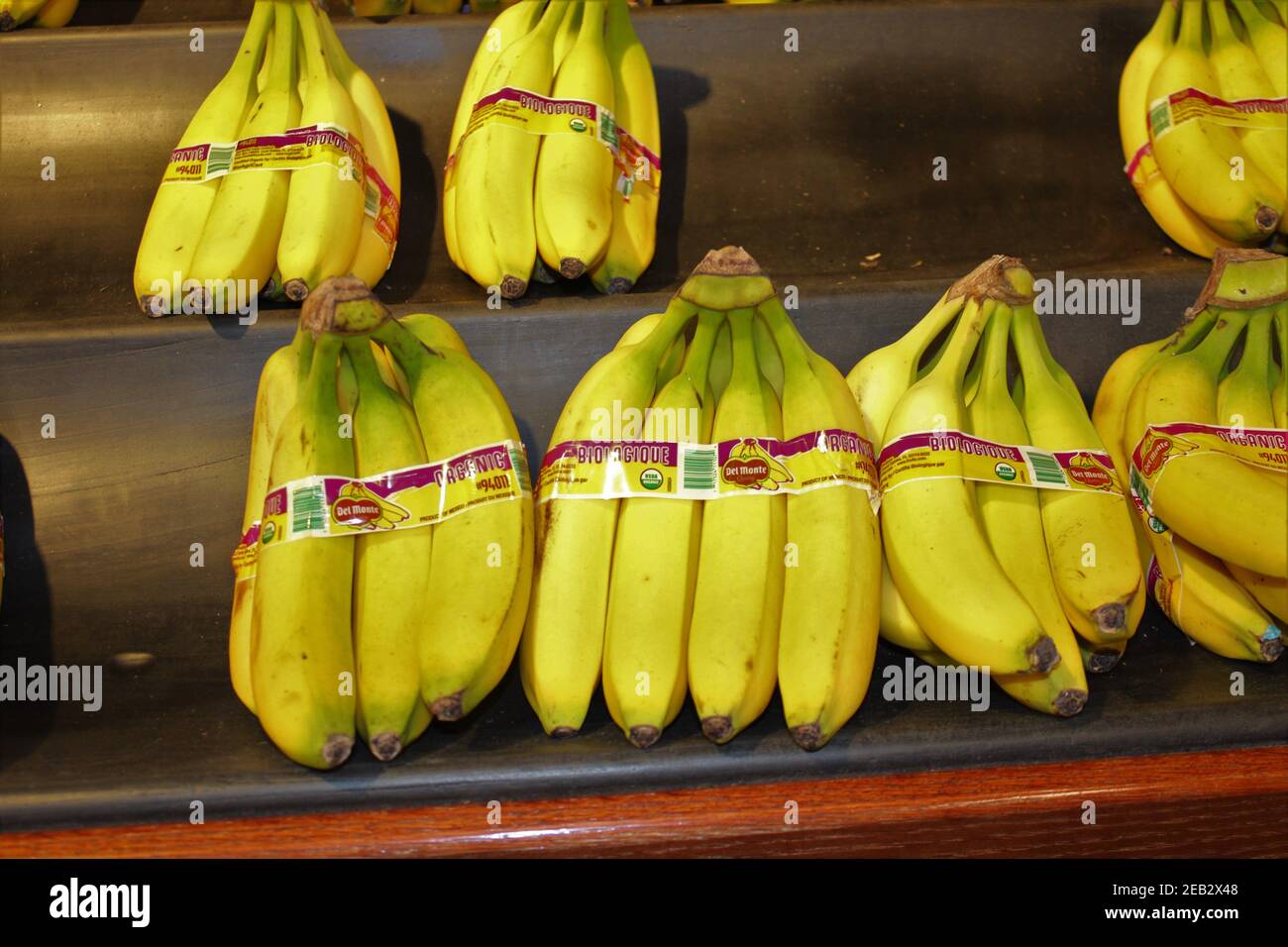 Bananes biologiques sur une étagère marron foncé en gros plan dans un magasin d'alimentation Dillons qui est mûr et prêt à manger au Kansas. Banque D'Images