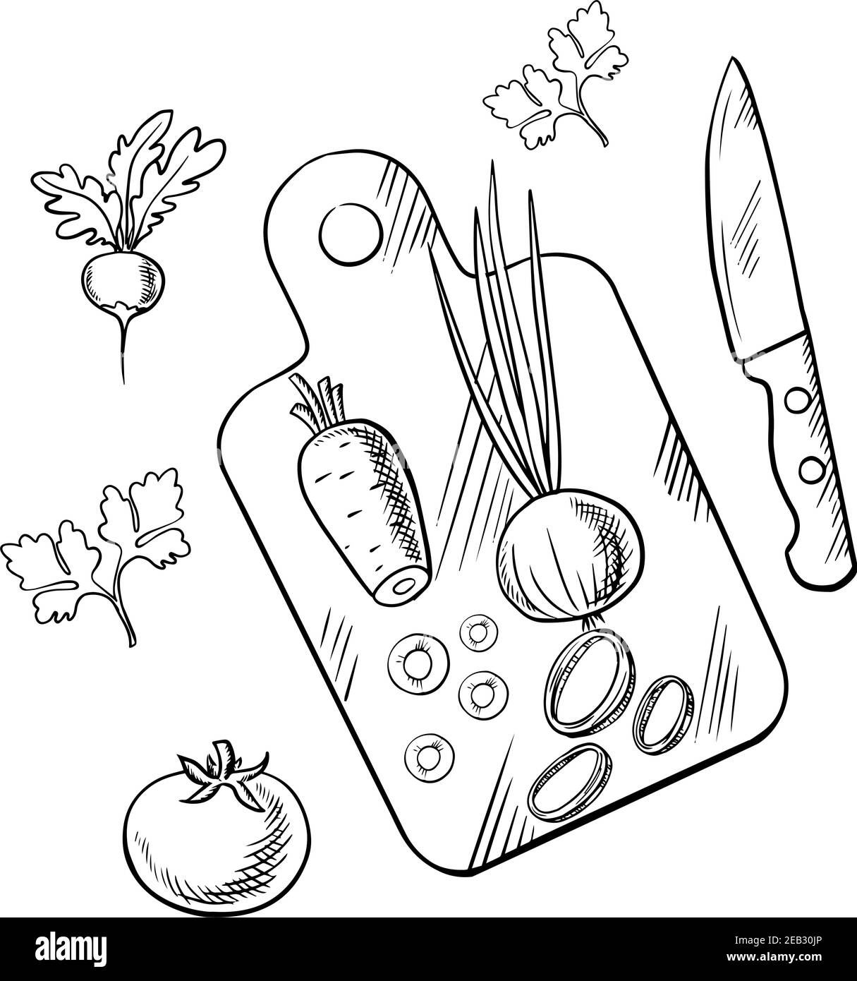 Tomates, carottes, oignons verts et légumes radis frais sur planche à découper avec couteau et tiges de persil. Image d'esquisse du processus de cuisson pour la végétarie Illustration de Vecteur