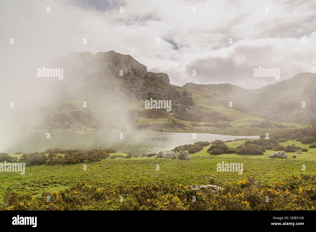 Lacs de Covadonga avec brouillard au printemps. Touristes randonnée sur le lac énol. Asturies, Espagne Banque D'Images