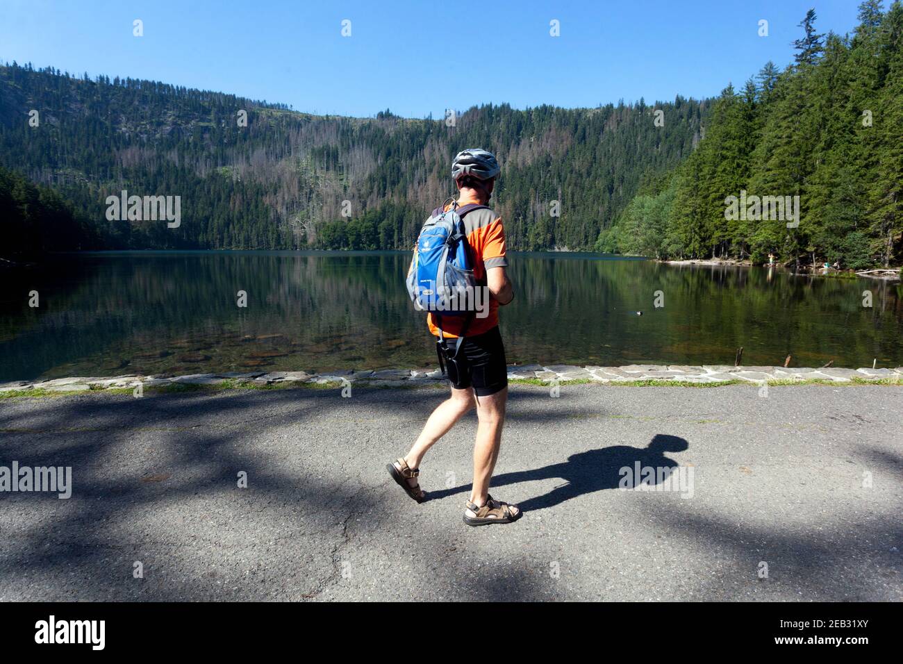 Parc national de Sumava République Tchèque randonneur homme en voyage naturel piste Banque D'Images