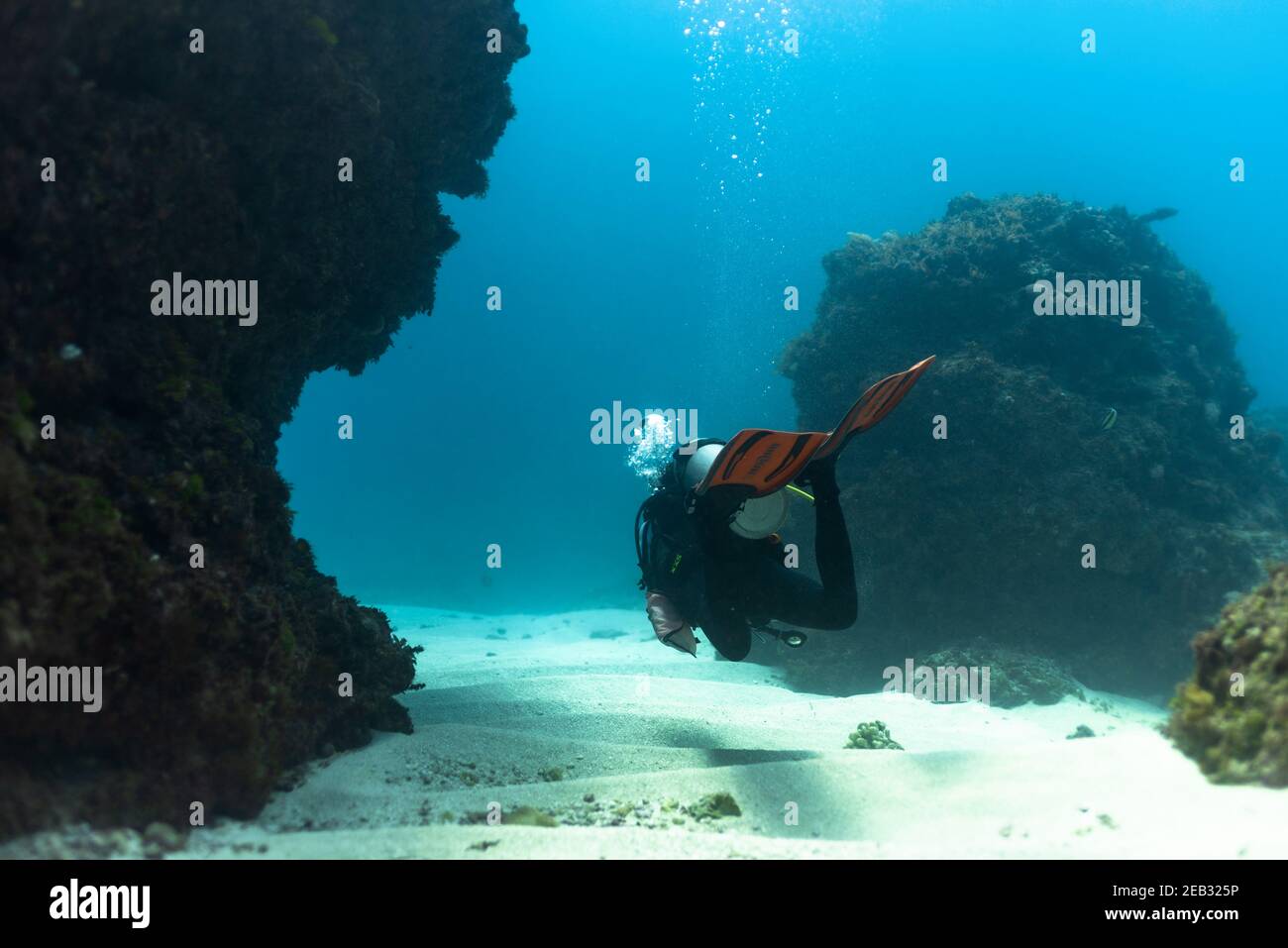 Plongée sous-marine fille dans l'océan bleu eau libre et bleu ciel Banque D'Images