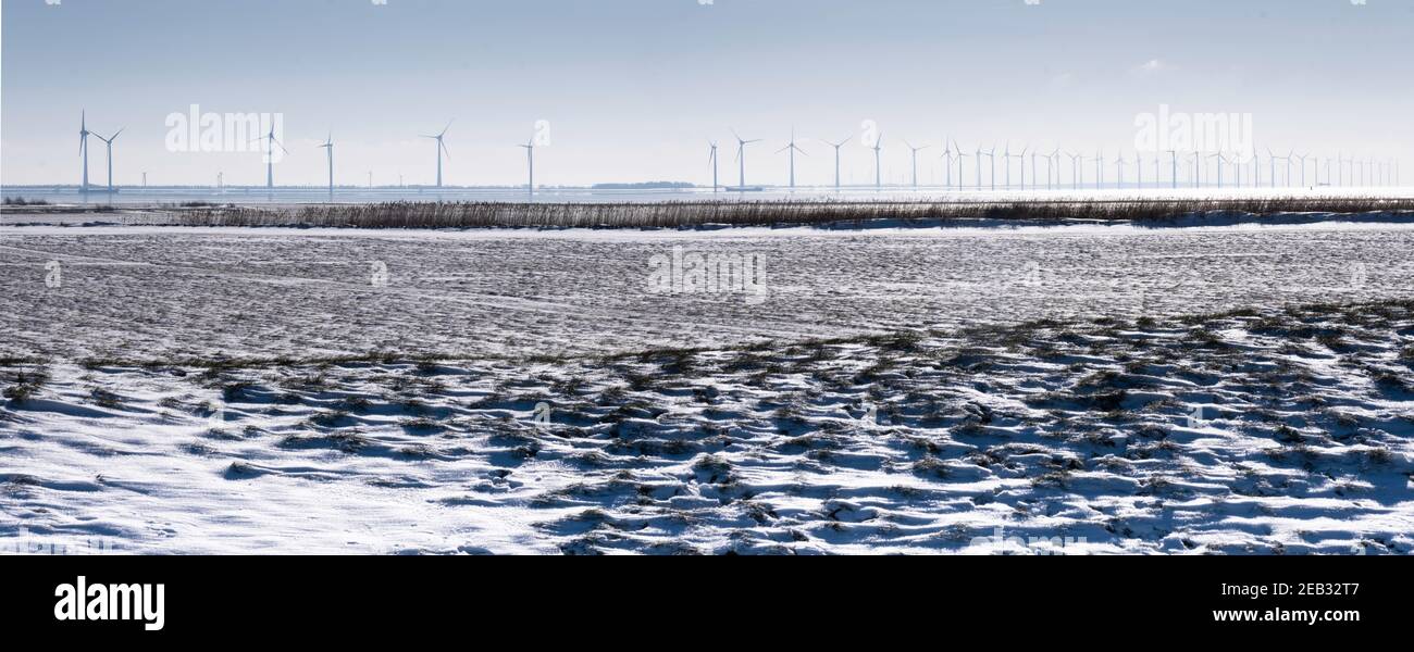 Parc à éoliennes Westermeerwind dans l'Ijsselmeer, le plus grand parc éolien au large des pays-Bas. Scène hivernale avec neige, soleil et ciel bleu. Widescree Banque D'Images