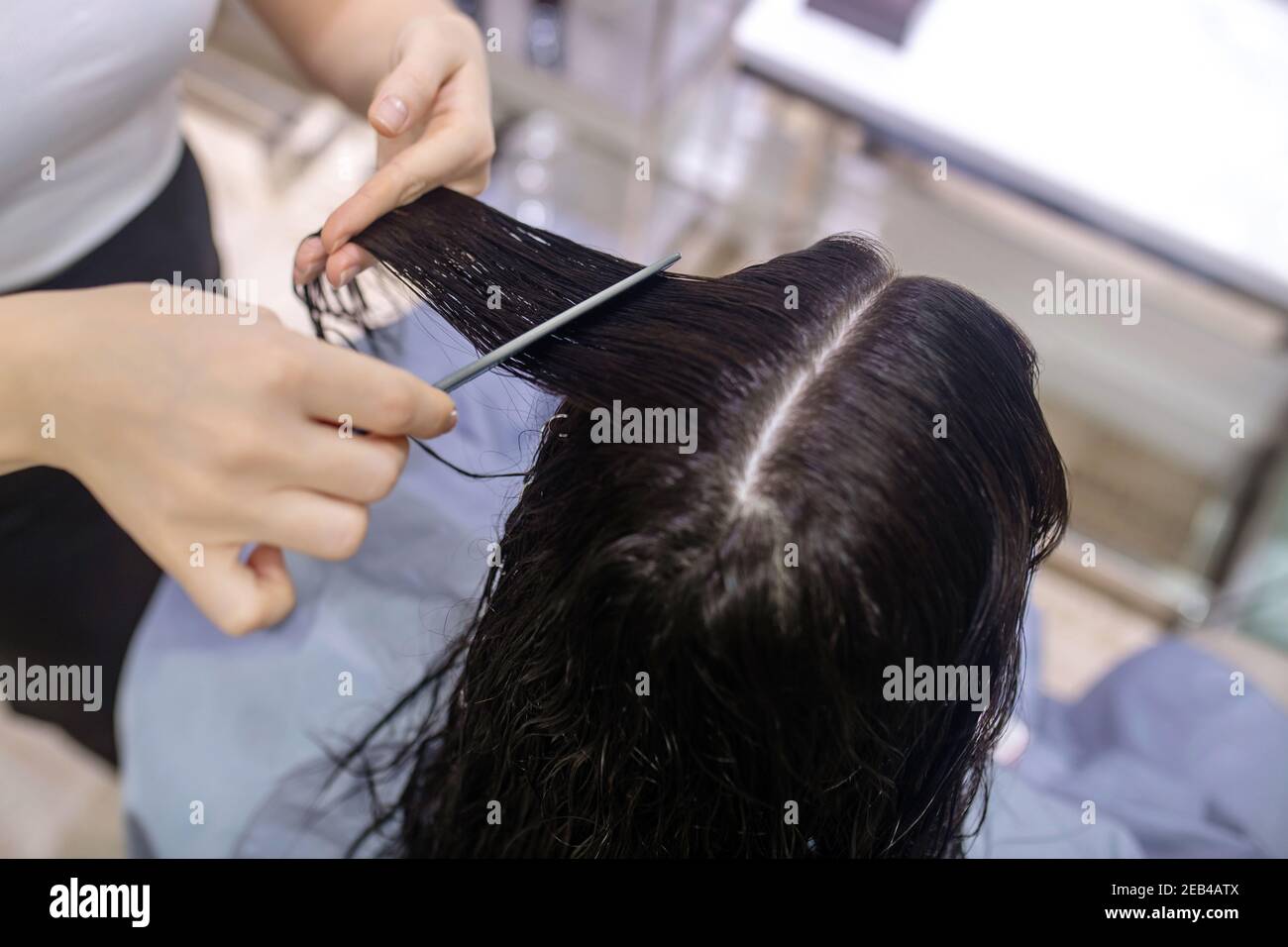 Gros plan de cheveux stylistes mains coupant les cheveux Banque D'Images