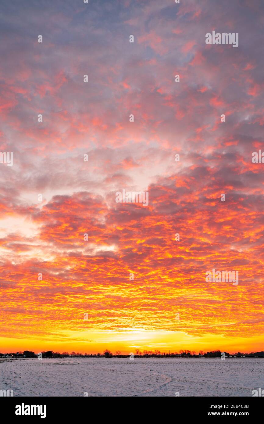 Le ciel de l'aube au-dessus d'un hedgerow lointain et des arbres à l'horizon avec un champ couvert de neige gelé au premier plan. Le ciel est un jaune dramatique avec une couche de nuages rouges sous-éclairés, ce qui lui donne un ciel ondulé sur le feu look. Banque D'Images