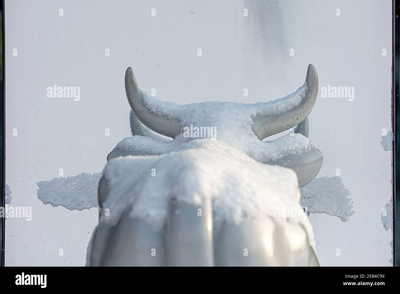 Ventspils, Lettonie, 5 février 2021: Jolie et drôle vache blanche avec des lèvres peintes regardant dans le miroir un jour d'hiver enneigé, l'une des nombreuses statues Banque D'Images