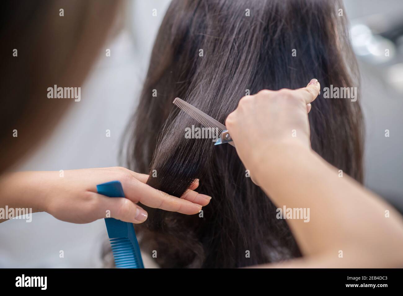 Gros plan de la peinture de la main du coiffeur pendant la coupe de cheveux processus Banque D'Images