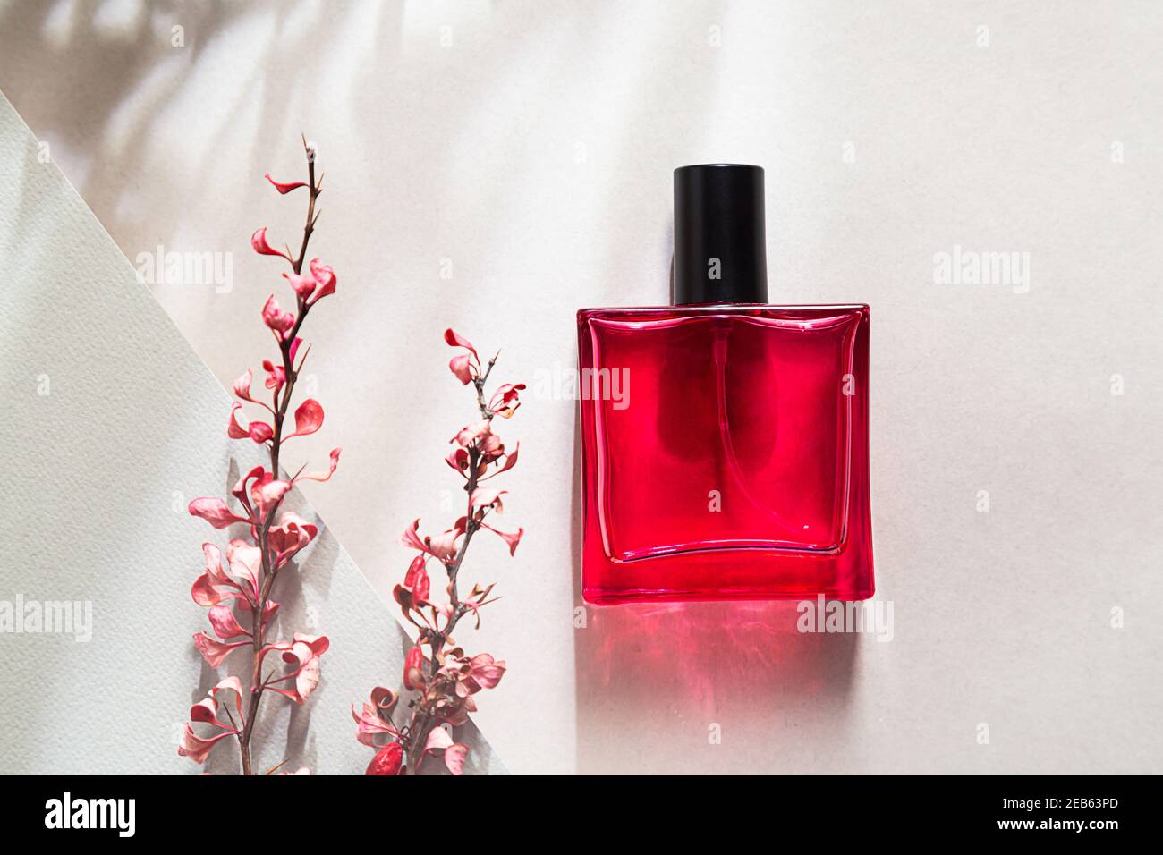 Bouteille rouge de parfum. La vie moderne encore avec le parfum et la branche rose sèche de barberry sur fond gris avec de longues ombres Banque D'Images