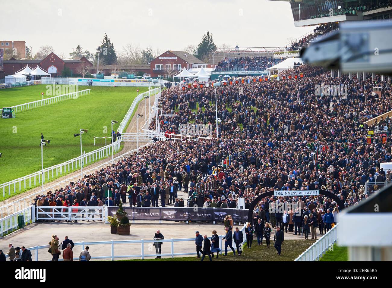 Courses hippiques à l'hippodrome de Cheltenham, en Angleterre Banque D'Images