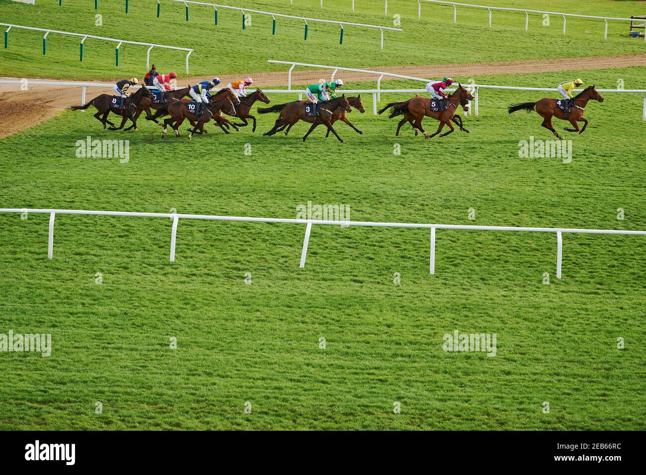 Courses hippiques à l'hippodrome de Cheltenham, en Angleterre Banque D'Images