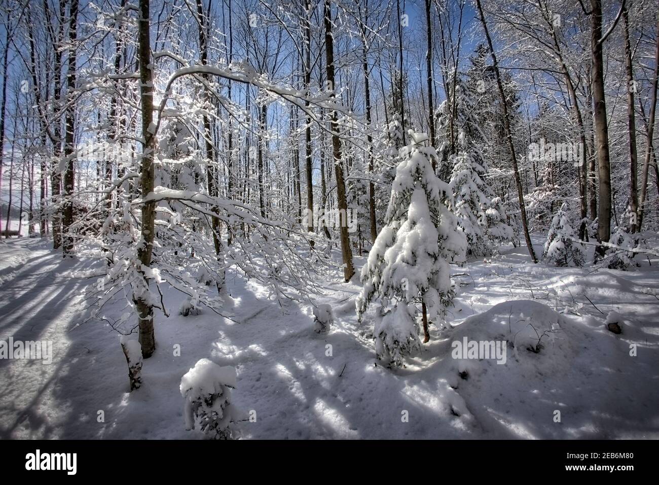 DE - BAVIÈRE: Scène d'hiver près de Bad Toelz (HDR-image) Banque D'Images