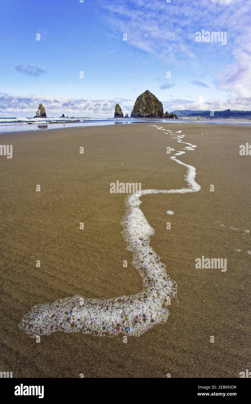 Haystack Rock à bas tideCannon Beach Oregon, États-Unis LA000951 Banque D'Images