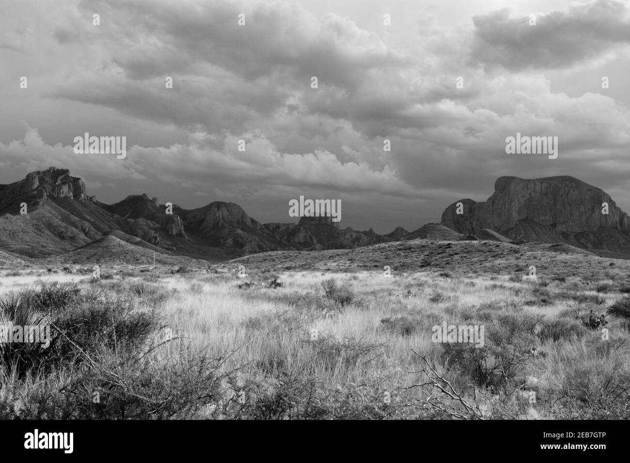 Des nuages de tempête printanière se forment au-dessus des montagnes Chisos dans le parc national de Big Bend, Texas. Banque D'Images