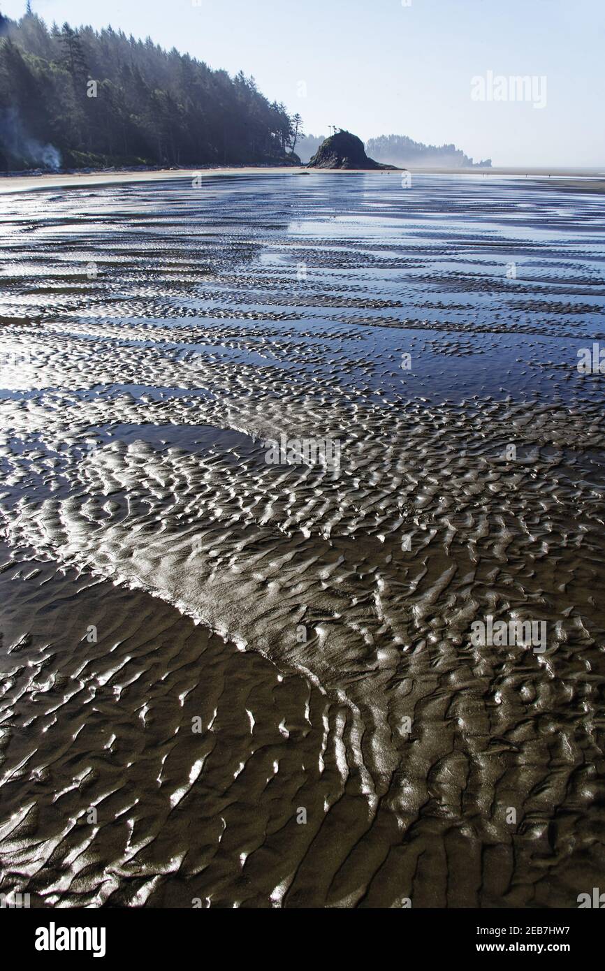 Second Beach au parc national de Low TideOlympic Washington State USA LA001616 Banque D'Images
