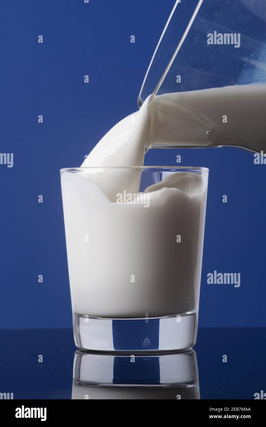 lait frais crémeux dans une carafe, versé dans un verre jusqu'au bord et isolé sur fond bleu Banque D'Images