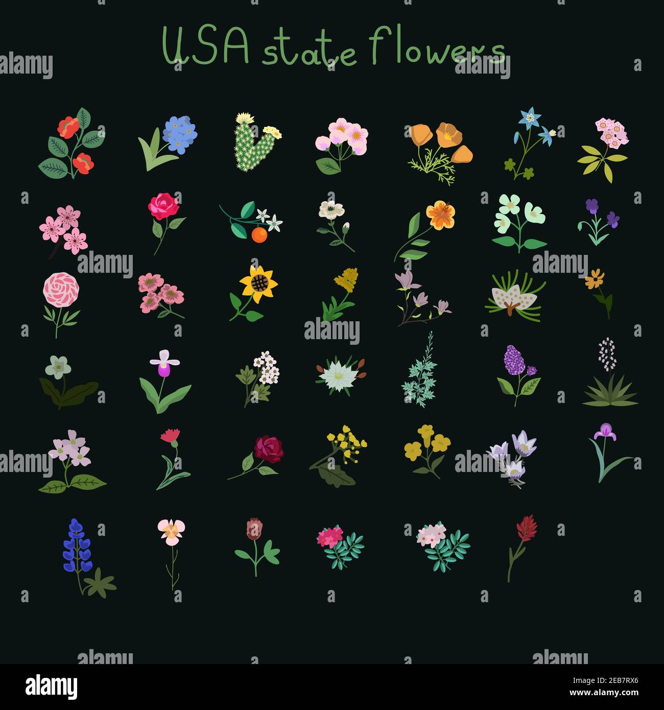 Collection de vecteurs de fleurs de l'État des États-Unis Illustration de Vecteur