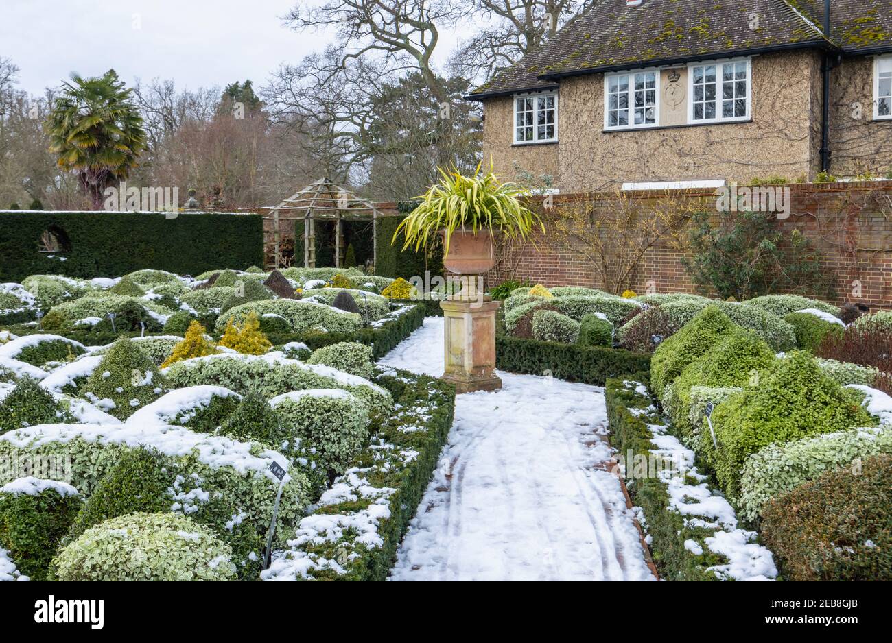 Le jardin de Knot à RHS Garden, Wisley, Surrey, dans le sud-est de l'Angleterre, en hiver avec des buissons topiaires et des haies taillés dans la neige Banque D'Images