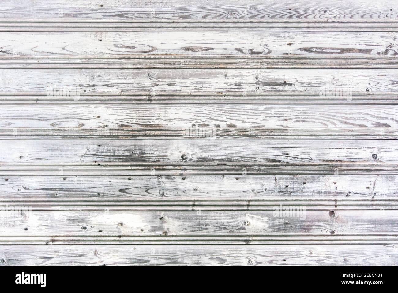 Planches de bois peintes en blanc avec des nailes. Arrière-plan des anciennes planches en bois. Texture en bois vintage. Mur de planches rétro peint en blanc délavé. R Banque D'Images