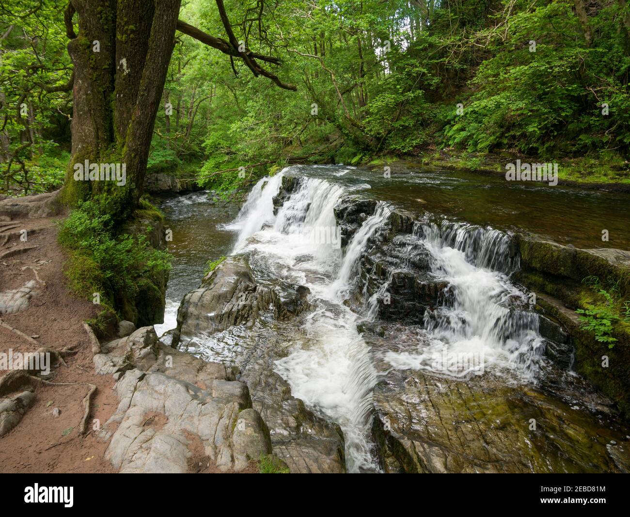 Sgwd y Pannwr (chute du Fuller) cascade sur la rivière Afon Mellte dans le parc national de Bannau Brycheiniog (anciennement Brecon Beacons) près de Ystradfellte, Powys, pays de Galles. Banque D'Images