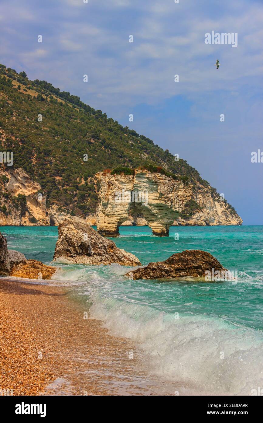 Les plus belles côtes de l'Italie: La baie de Zagare (Apulia).les plages offrent une vue à couper le souffle avec des falaises karstiques blanc vif, mer bleu émeraude. Banque D'Images