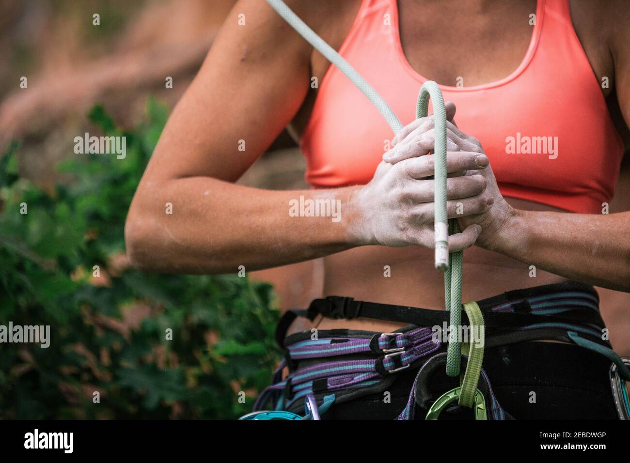 Une femme appuie sur la figure huit nœud avec les mains craquées après le  plomb grimpez Photo Stock - Alamy