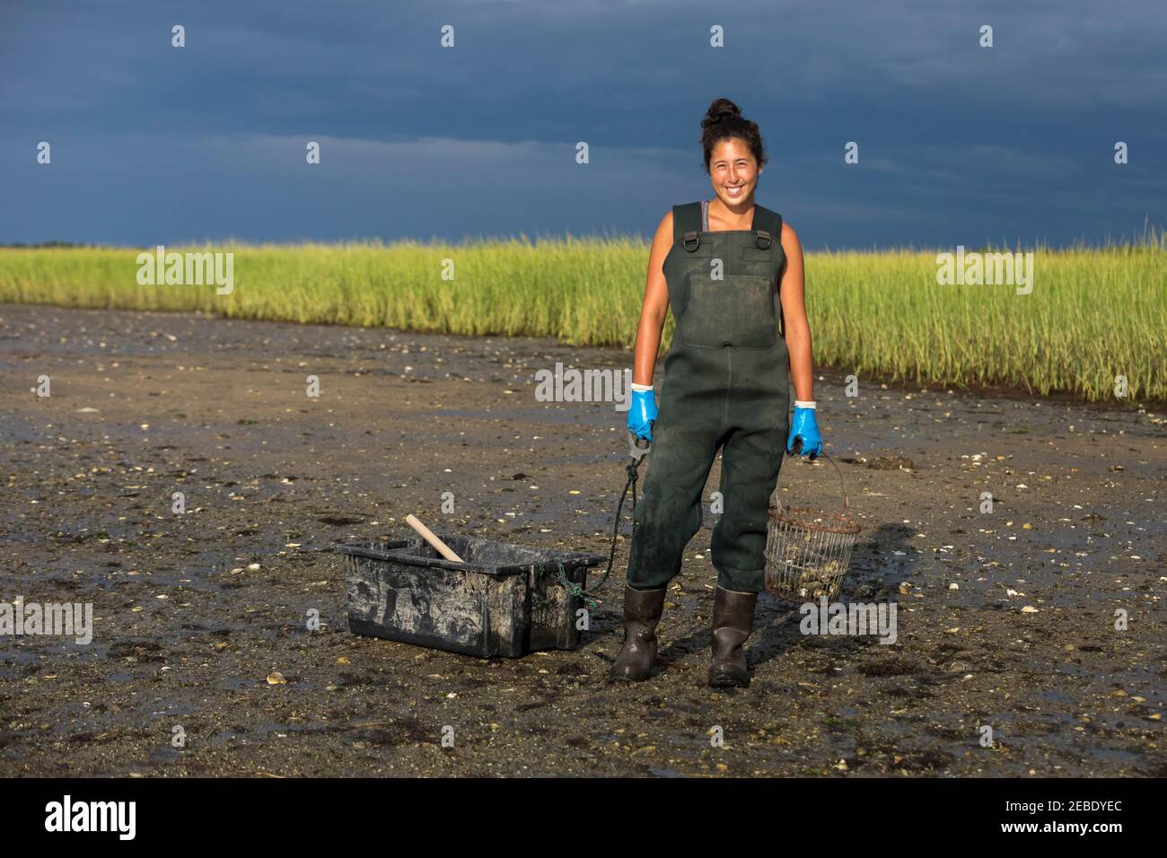Portrait de la femme asiatique de picker d'huîtres dans les waders souriant à appareil photo Banque D'Images